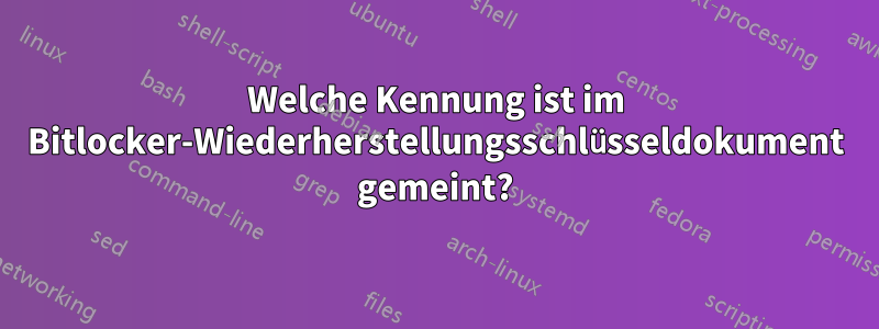 Welche Kennung ist im Bitlocker-Wiederherstellungsschlüsseldokument gemeint?