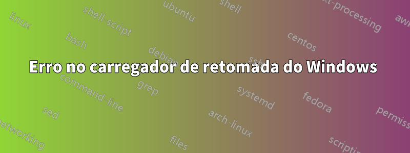 Erro no carregador de retomada do Windows