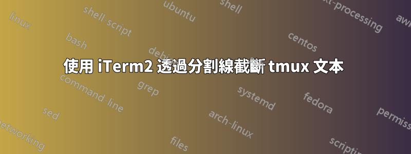 使用 iTerm2 透過分割線截斷 tmux 文本