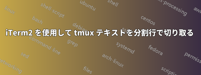 iTerm2 を使用して tmux テキストを分割行で切り取る