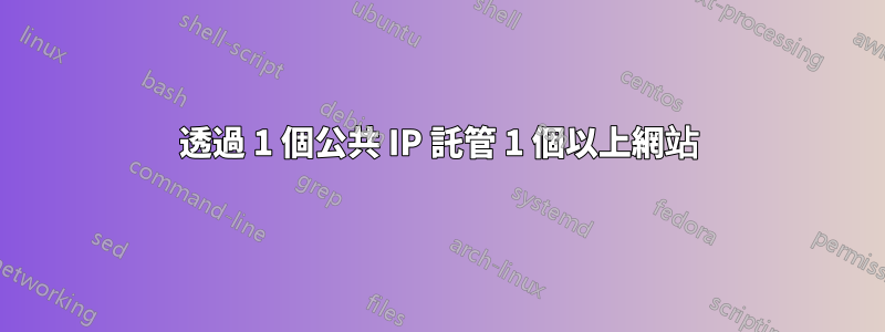 透過 1 個公共 IP 託管 1 個以上網站