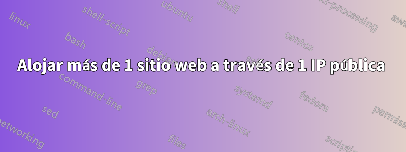 Alojar más de 1 sitio web a través de 1 IP pública