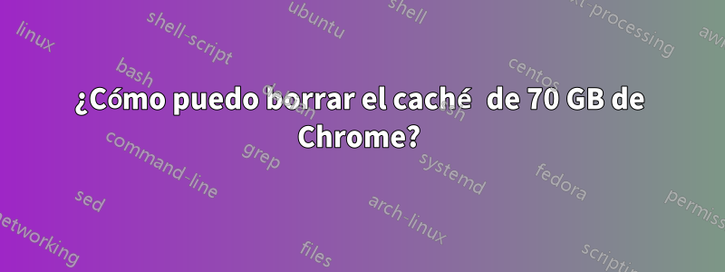 ¿Cómo puedo borrar el caché de 70 GB de Chrome?