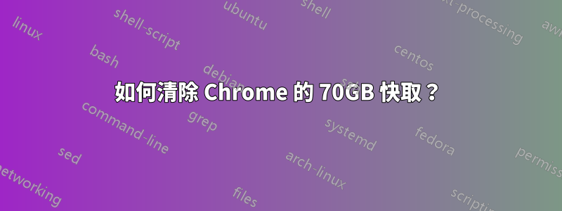 如何清除 Chrome 的 70GB 快取？