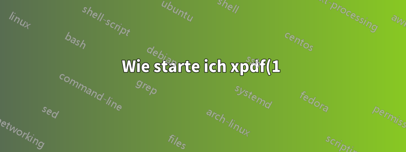 Wie starte ich xpdf(1) ohne den Gliederungsbereich?