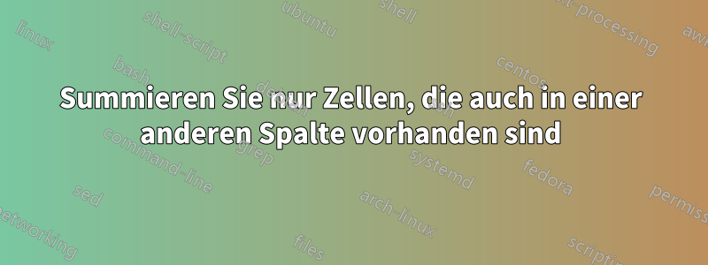 Summieren Sie nur Zellen, die auch in einer anderen Spalte vorhanden sind