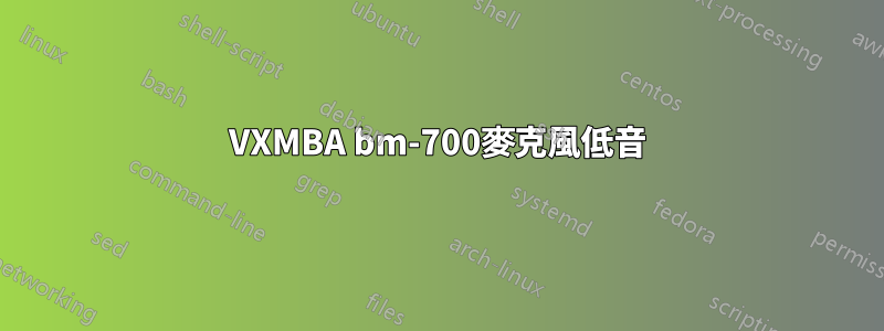 VXMBA bm-700麥克風低音