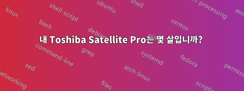 내 Toshiba Satellite Pro는 몇 살입니까?