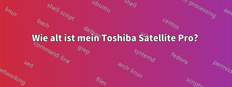 Wie alt ist mein Toshiba Satellite Pro?
