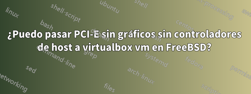 ¿Puedo pasar PCI-E sin gráficos sin controladores de host a virtualbox vm en FreeBSD?