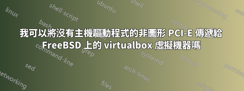 我可以將沒有主機驅動程式的非圖形 PCI-E 傳遞給 FreeBSD 上的 virtualbox 虛擬機器嗎