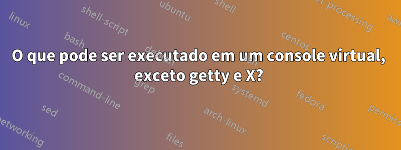 O que pode ser executado em um console virtual, exceto getty e X?
