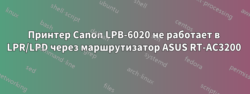 Принтер Canon LPB-6020 не работает в LPR/LPD через маршрутизатор ASUS RT-AC3200