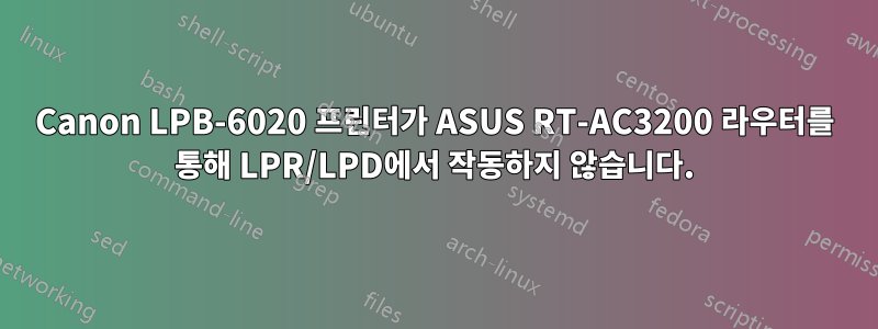 Canon LPB-6020 프린터가 ASUS RT-AC3200 라우터를 통해 LPR/LPD에서 작동하지 않습니다.
