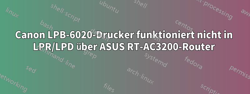 Canon LPB-6020-Drucker funktioniert nicht in LPR/LPD über ASUS RT-AC3200-Router