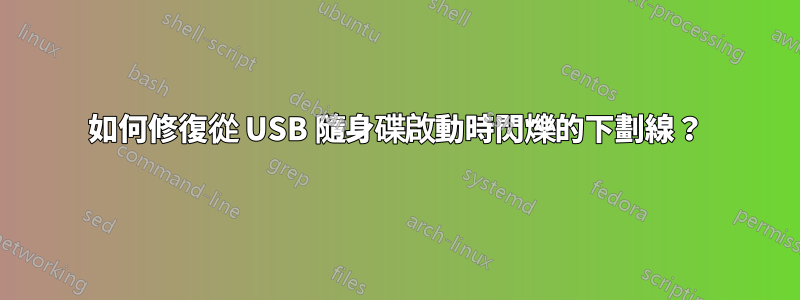 如何修復從 USB 隨身碟啟動時閃爍的下劃線？