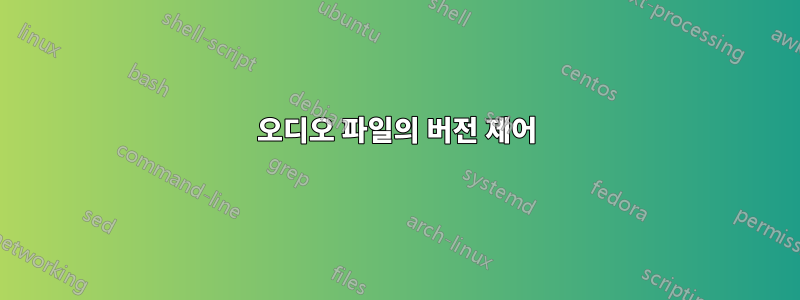 오디오 파일의 버전 제어