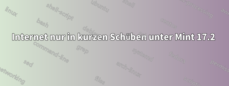 Internet nur in kurzen Schüben unter Mint 17.2