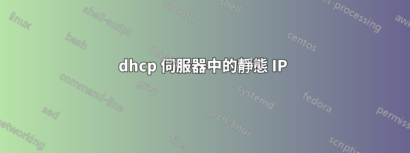 dhcp 伺服器中的靜態 IP