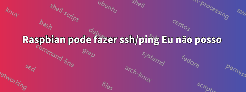 Raspbian pode fazer ssh/ping Eu não posso