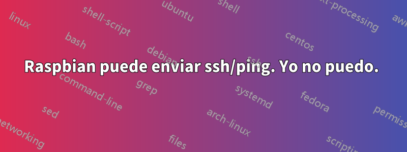 Raspbian puede enviar ssh/ping. Yo no puedo.