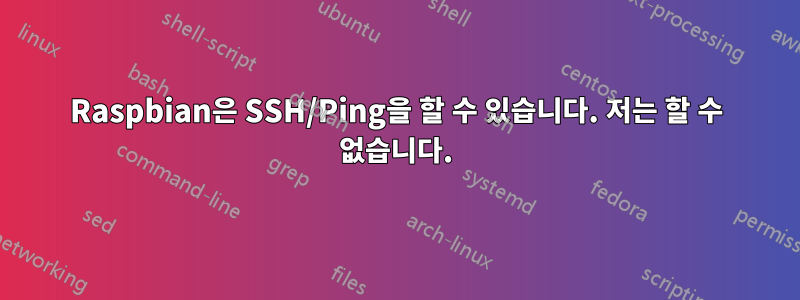 Raspbian은 SSH/Ping을 할 수 있습니다. 저는 할 수 없습니다.