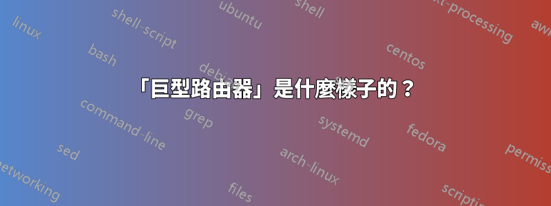 「巨型路由器」是什麼樣子的？