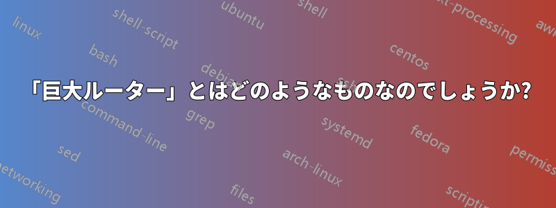 「巨大ルーター」とはどのようなものなのでしょうか?