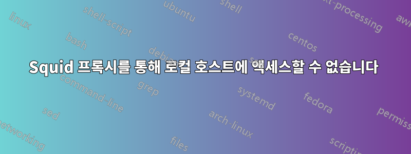 Squid 프록시를 통해 로컬 호스트에 액세스할 수 없습니다
