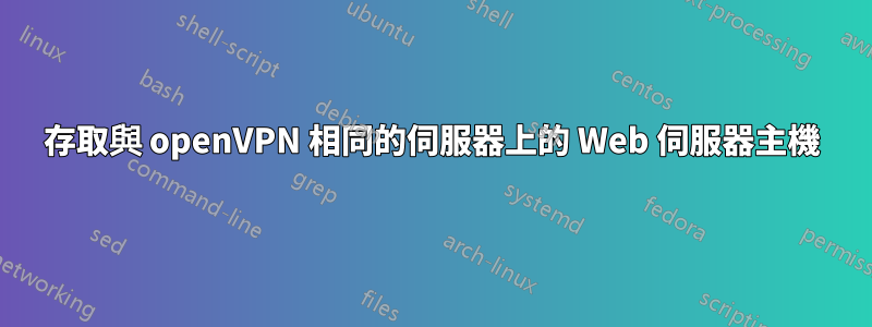 存取與 openVPN 相同的伺服器上的 Web 伺服器主機