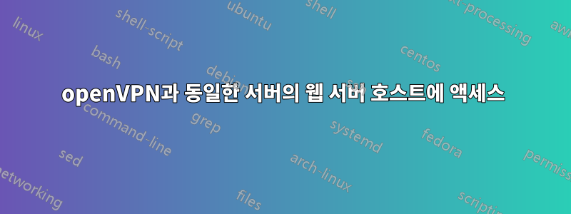 openVPN과 동일한 서버의 웹 서버 호스트에 액세스