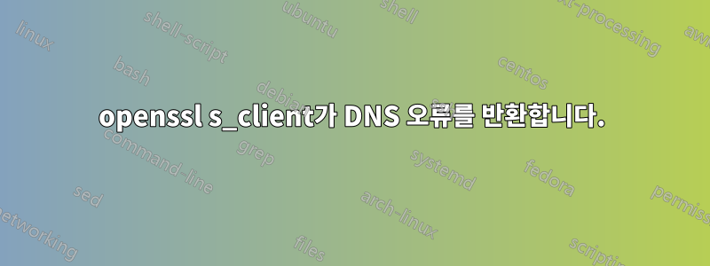 openssl s_client가 DNS 오류를 반환합니다.