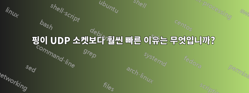 핑이 UDP 소켓보다 훨씬 빠른 이유는 무엇입니까?