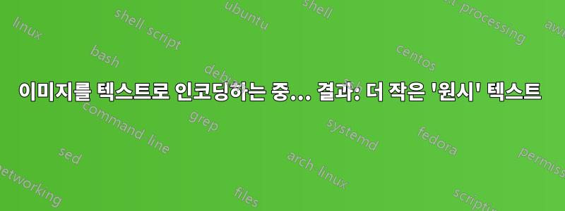 이미지를 텍스트로 인코딩하는 중... 결과: 더 작은 '원시' 텍스트