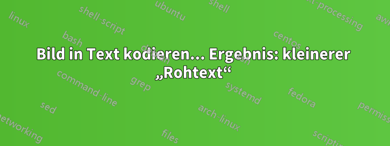 Bild in Text kodieren... Ergebnis: kleinerer „Rohtext“