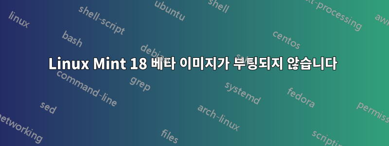 Linux Mint 18 베타 이미지가 부팅되지 않습니다