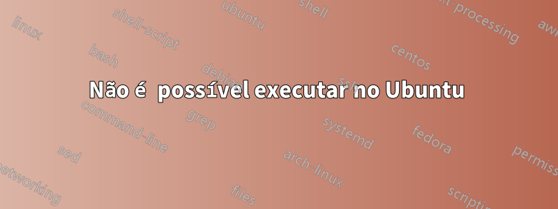 Não é possível executar no Ubuntu