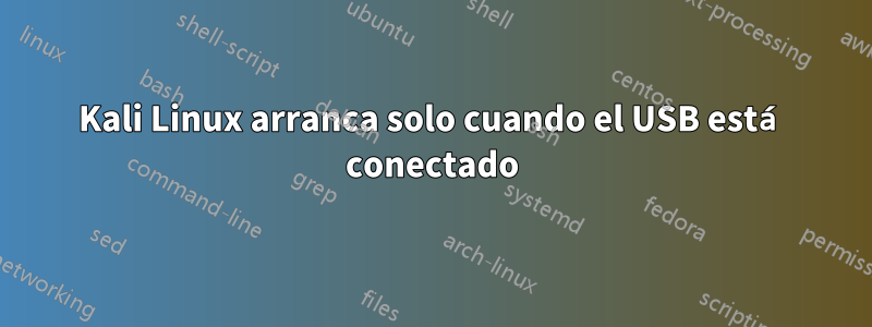 Kali Linux arranca solo cuando el USB está conectado