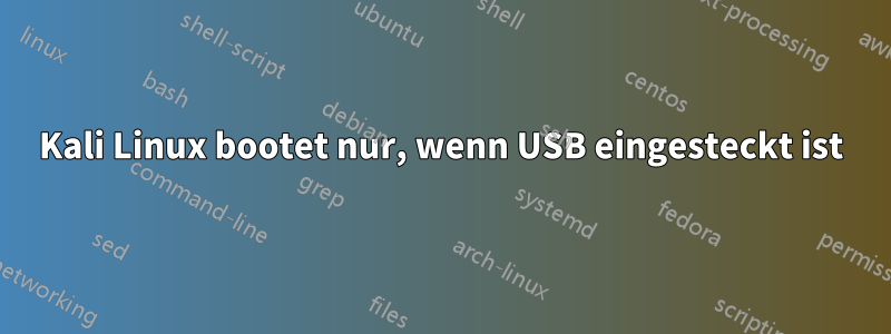 Kali Linux bootet nur, wenn USB eingesteckt ist