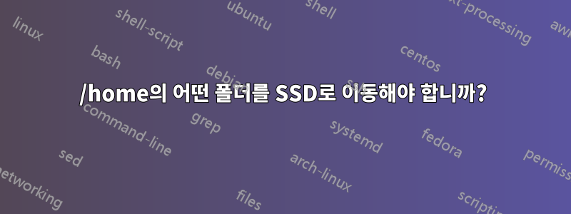 /home의 어떤 폴더를 SSD로 이동해야 합니까?