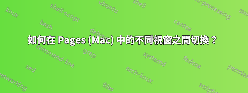 如何在 Pages (Mac) 中的不同視窗之間切換？