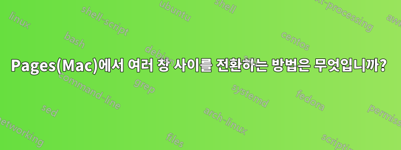 Pages(Mac)에서 여러 창 사이를 전환하는 방법은 무엇입니까?