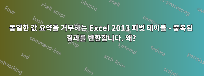 동일한 값 요약을 거부하는 Excel 2013 피벗 테이블 - 중복된 결과를 반환합니다. 왜?