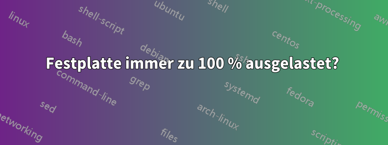 Festplatte immer zu 100 % ausgelastet?