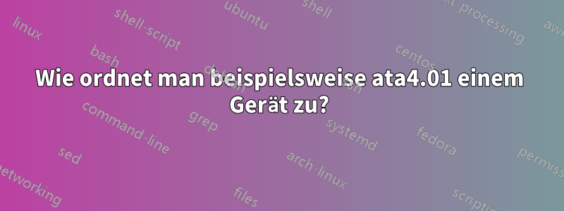 Wie ordnet man beispielsweise ata4.01 einem Gerät zu?