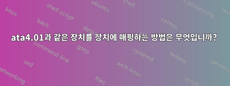 ata4.01과 같은 장치를 장치에 매핑하는 방법은 무엇입니까?