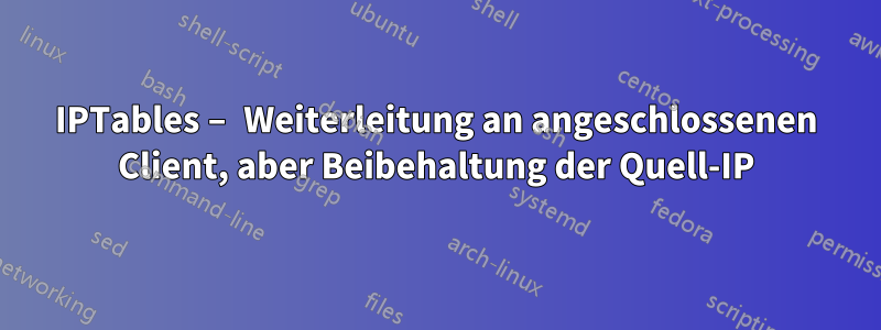 IPTables – Weiterleitung an angeschlossenen Client, aber Beibehaltung der Quell-IP