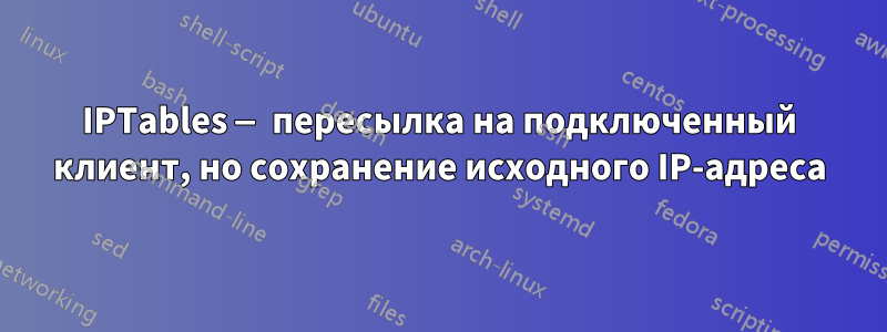 IPTables — пересылка на подключенный клиент, но сохранение исходного IP-адреса