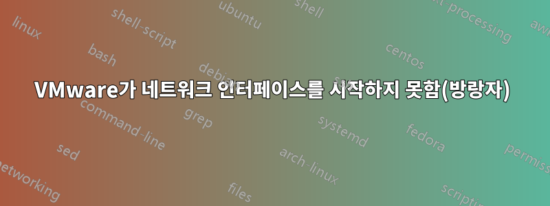 VMware가 네트워크 인터페이스를 시작하지 못함(방랑자)