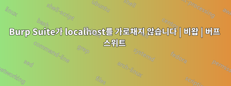 Burp Suite가 localhost를 가로채지 않습니다 | 비왑 | 버프 스위트